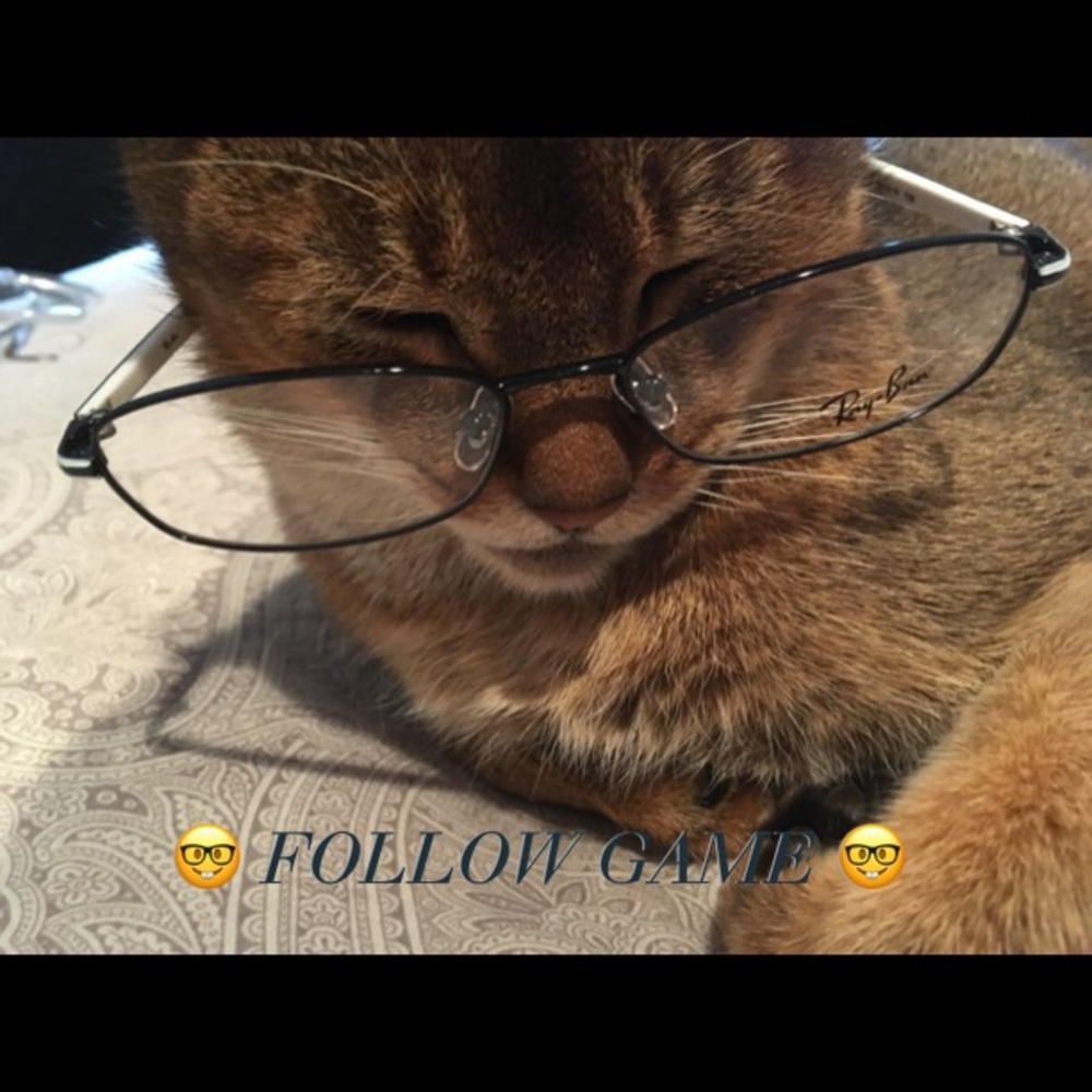 🤓MY FIRST FOLLOW GAME🤓