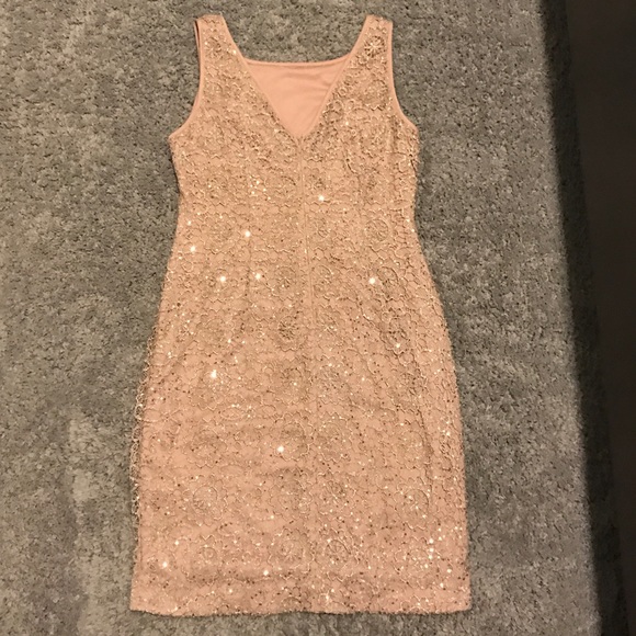 Adrianna Pappell Blush Sequin and Crochet Dress - Picture 3 of 6