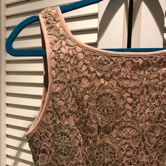 Adrianna Pappell Blush Sequin and Crochet Dress - Picture 5 of 6