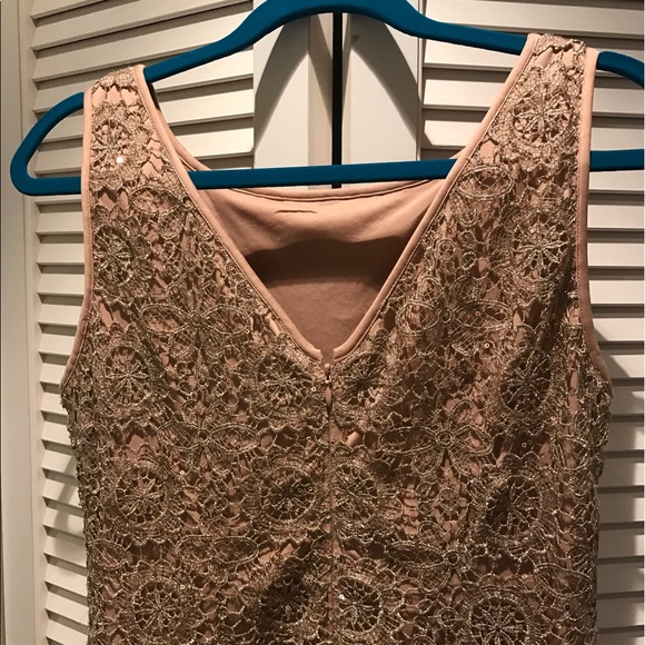 Adrianna Pappell Blush Sequin and Crochet Dress - Picture 6 of 6