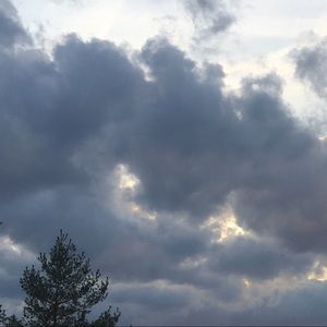 Meet your Posher, Rosalba