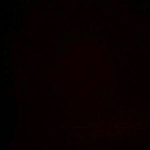 Meet your Posher, Emilia