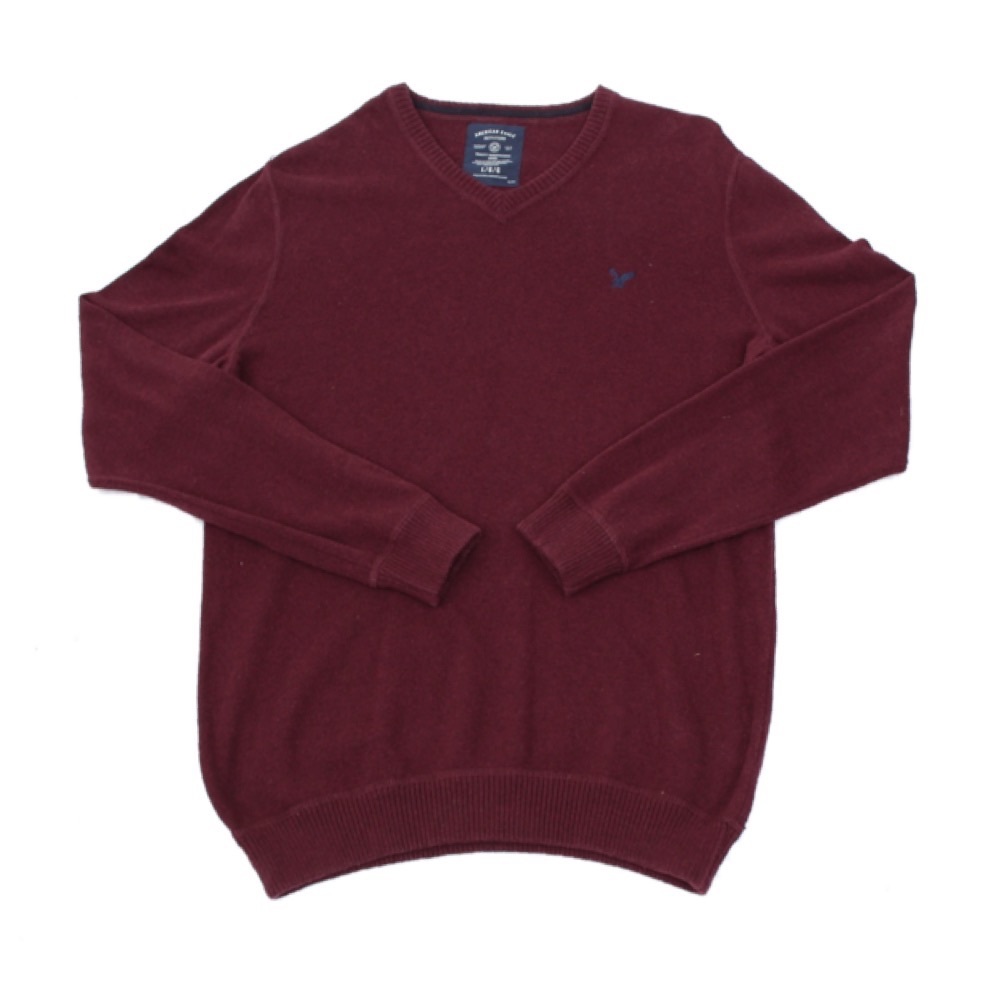American Eagle V- Neck Sweater