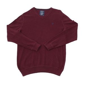 American Eagle V- Neck Sweater