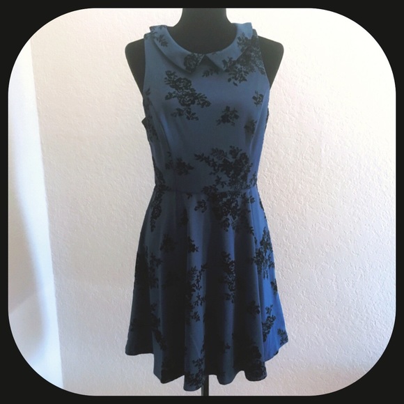 LC Lauren Conrad Dresses & Skirts - LC Lauren Conrad Fit and Flare Dress