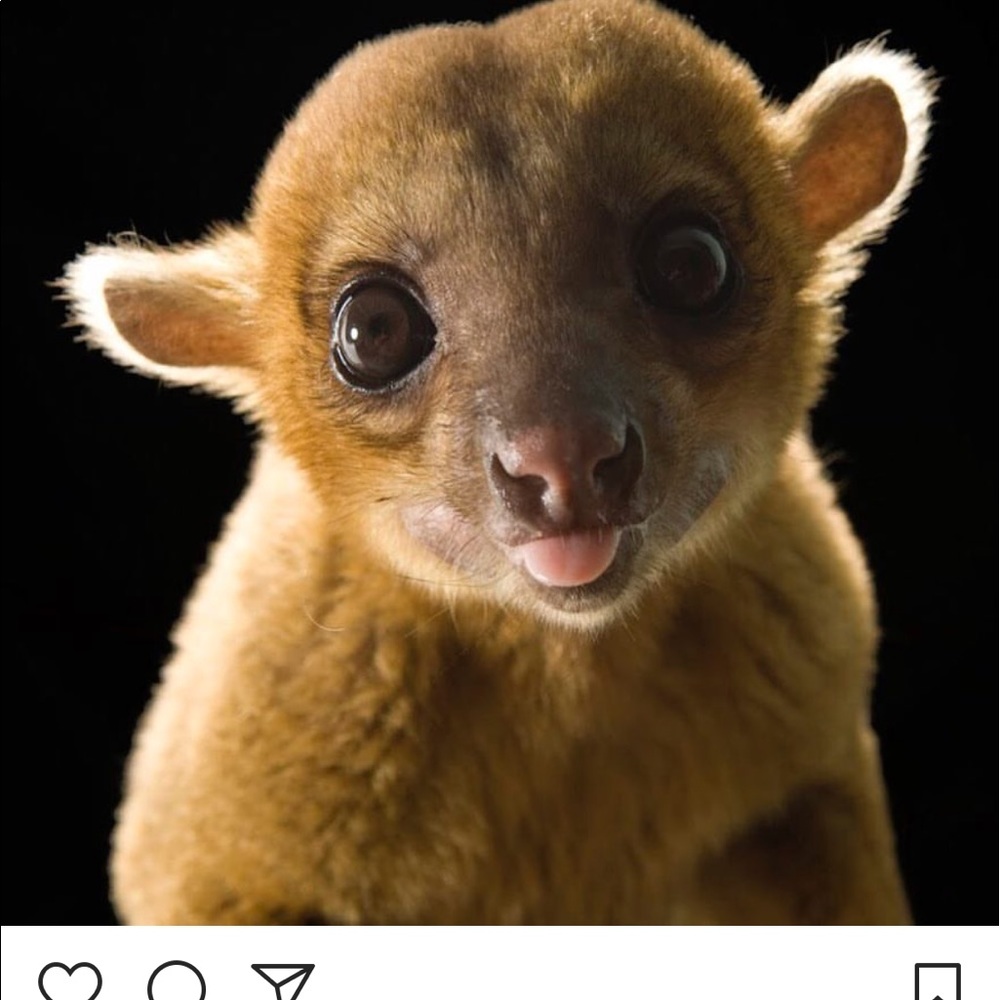 Meet your Posher, Ana