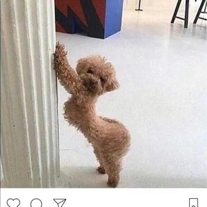 Meet your Posher, Claudette