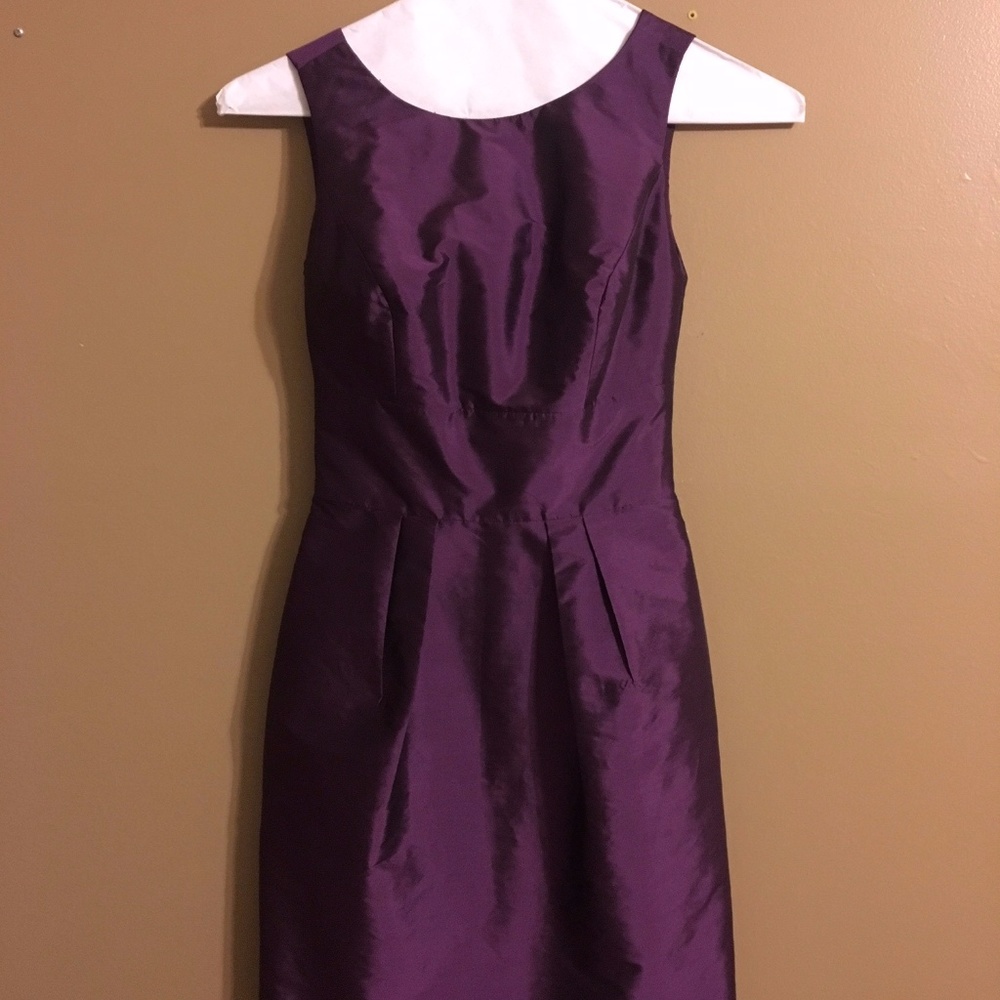 Plum Bridesmaid Dress (Alfred Sung D523)