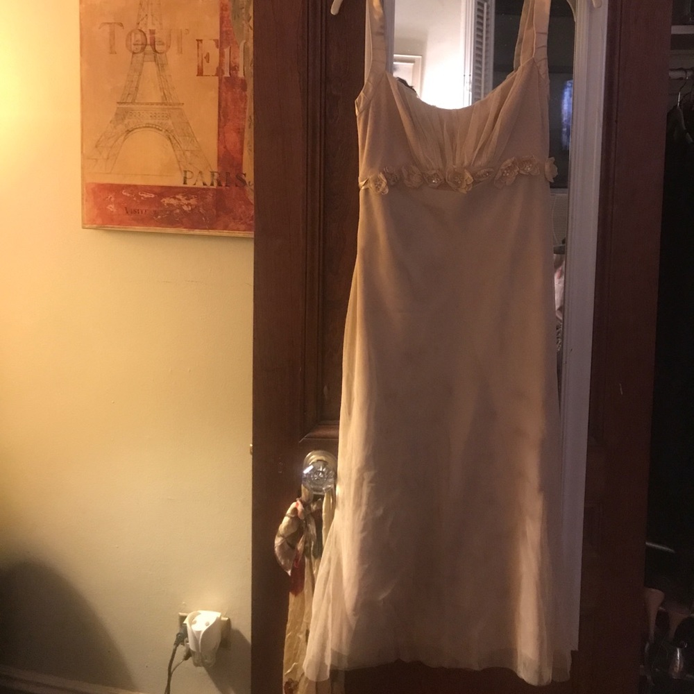 Vera Wang Champagne Dress