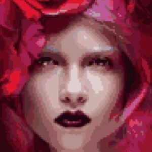 Meet your Posher, Evan