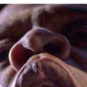 Meet your Posher, Marvin