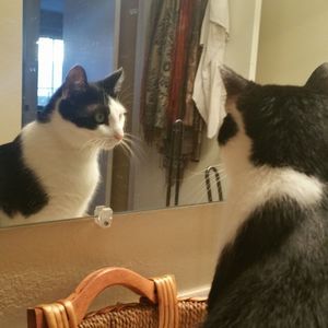 Meet your Posher, Ginny