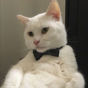 Meet your Posher, Jay