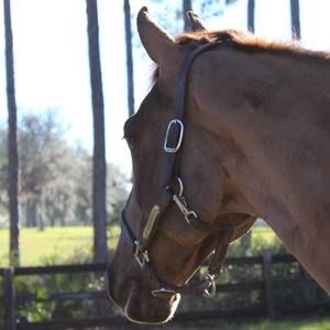 Meet your Posher, Sabrina