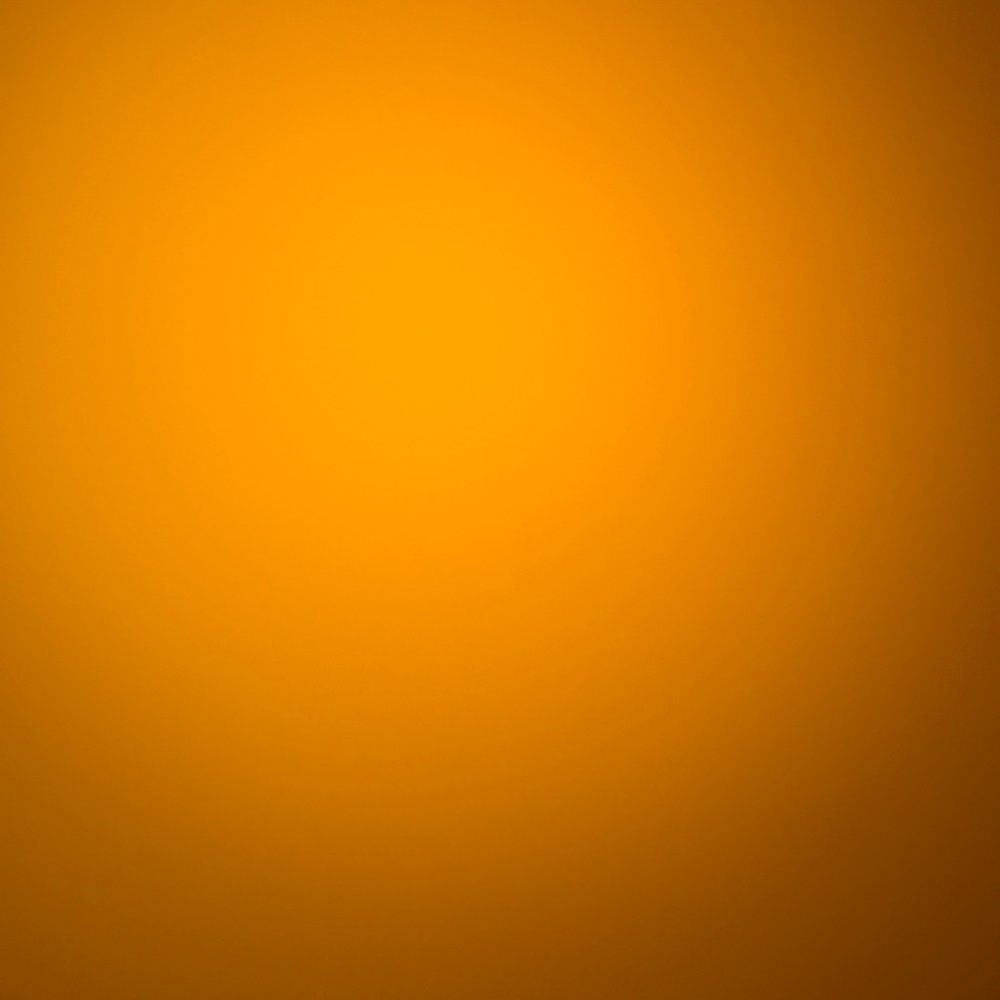 Meet your Posher, Maddie