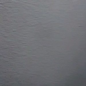 Meet your Posher, Asia