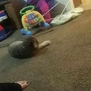 Meet your Posher, Amber