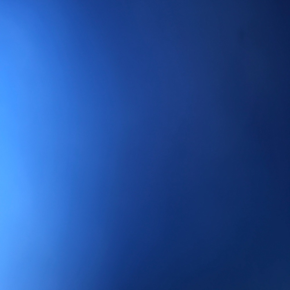 Meet your Posher, Pedro