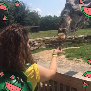 Meet your Posher, Sidney