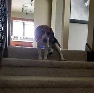 Meet your Posher, Marivic