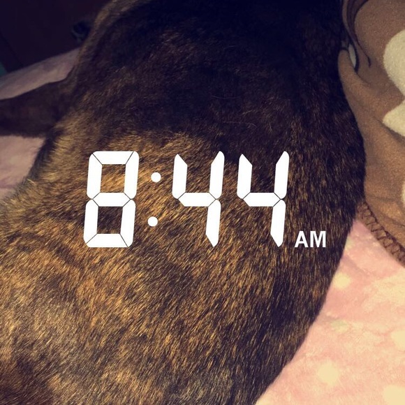 Meet your Posher, Rustina - Picture 1 of 1