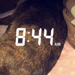 Meet your Posher, Rustina