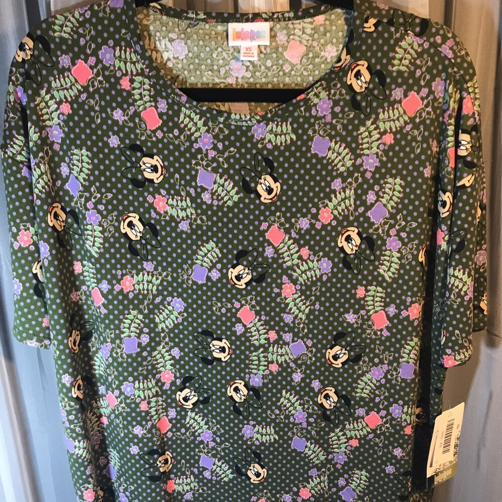 LLR DISNEY IRMA