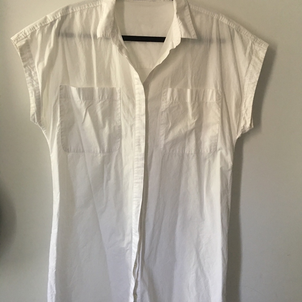 Everlane Minimal Shirt Dress