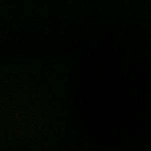 Meet your Posher, Jeni