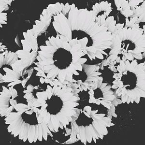 Meet your Posher, Candice