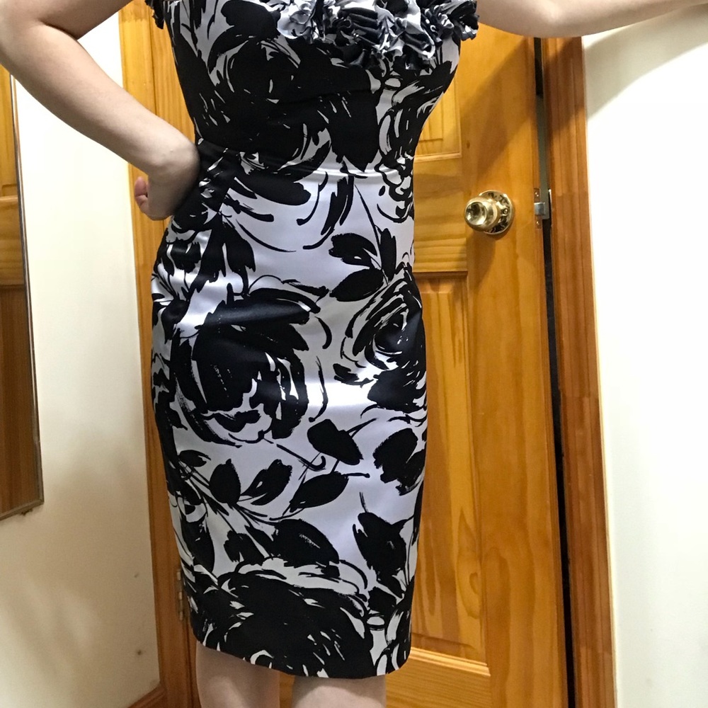 Dress! - Picture 3 of 8