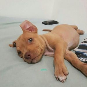 Meet your Posher, Chloe