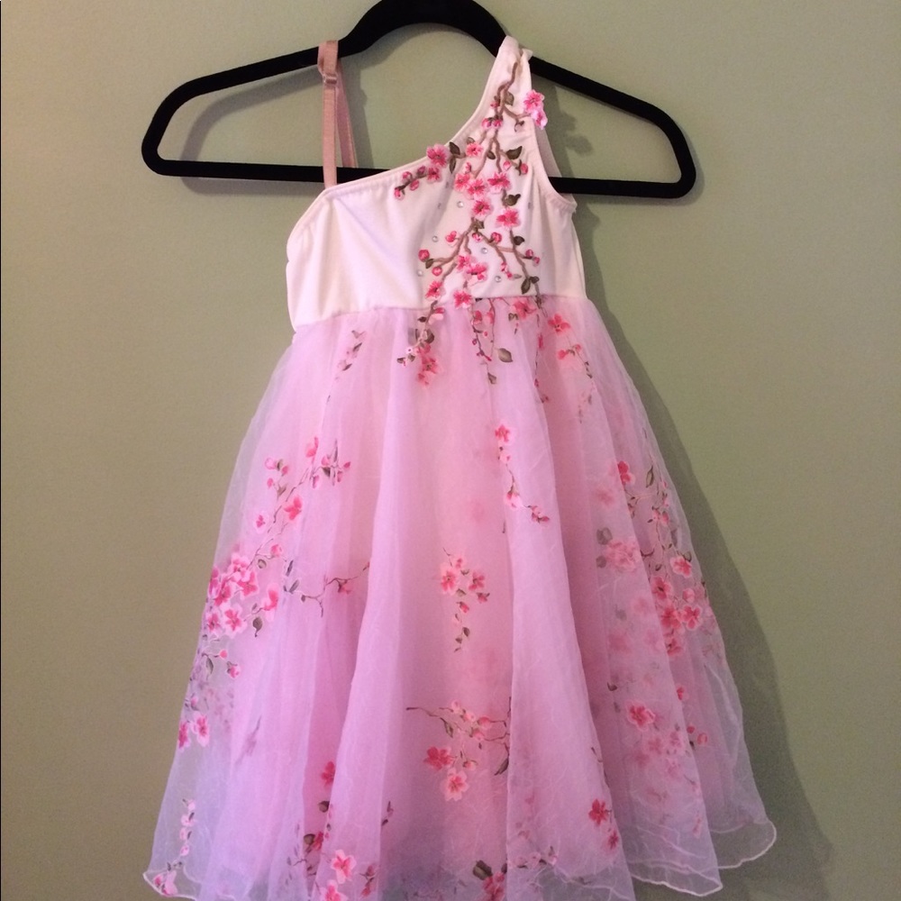 Negotiable! Floral pink dress/costume with tutu