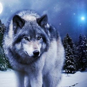 Meet your Posher, Milford