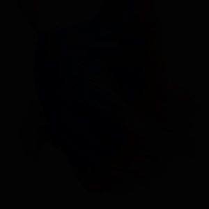 Meet your Posher, Evan