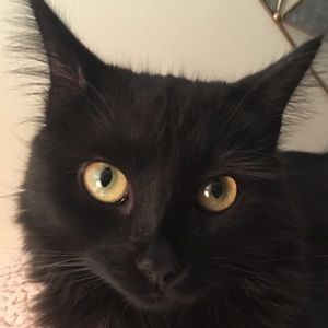 Meet your Posher, Sharee