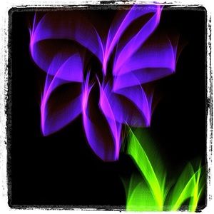 Meet your Posher, Terry