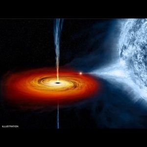 Meet your Posher, Nadine