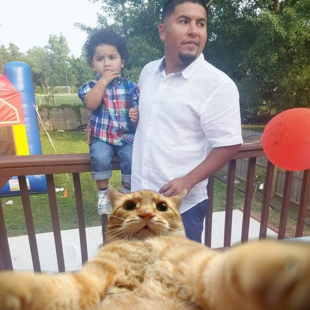 Meet your Posher, Frank