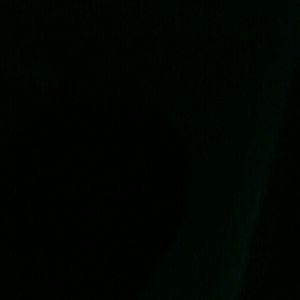 Meet your Posher, Reginald