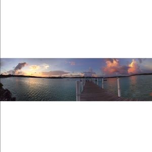 Meet your Posher, Gracie