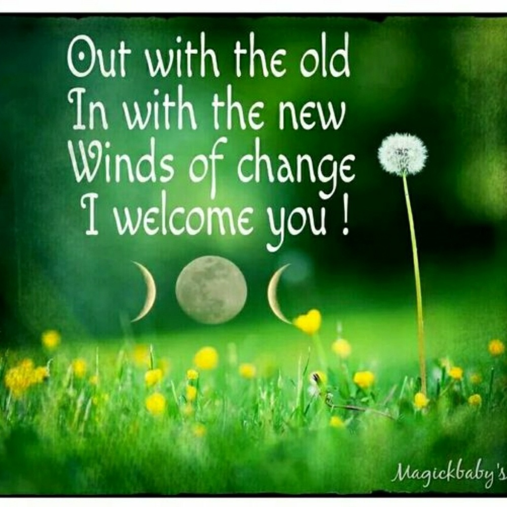 🍃Welcome to my closet🍃