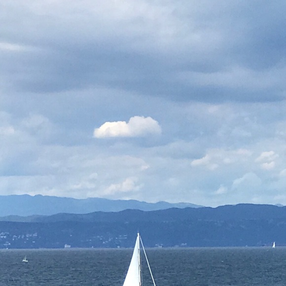 Meet your Posher, Celisse - Picture 1 of 1