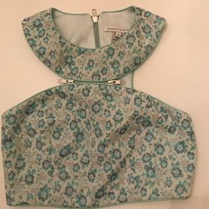 Green and blue designer crop top