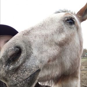 Meet your Posher, Rebecca