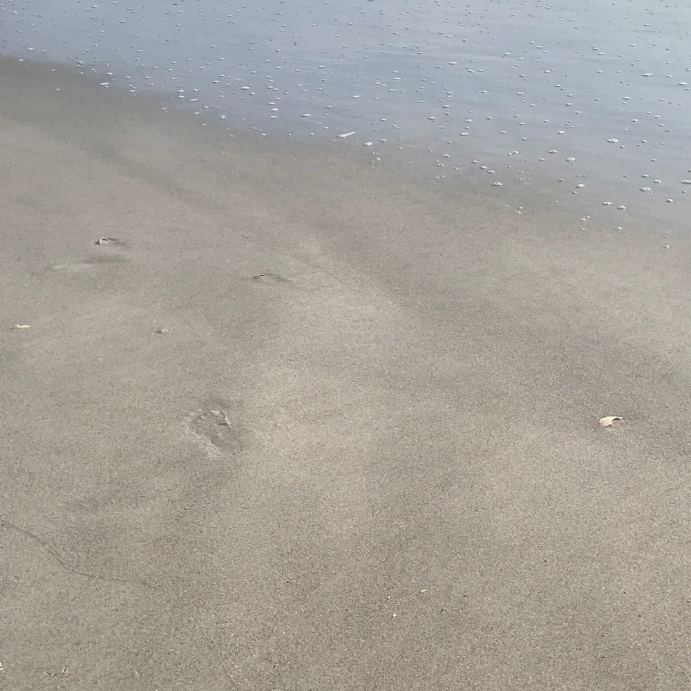 Meet your Posher, Alexcinia