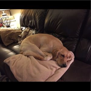 Meet your Posher, Michelle