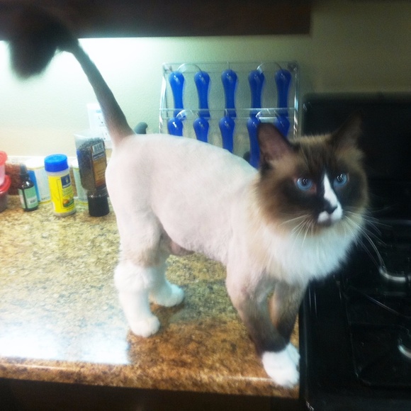 Meet your Posher - Picture 7 of 7