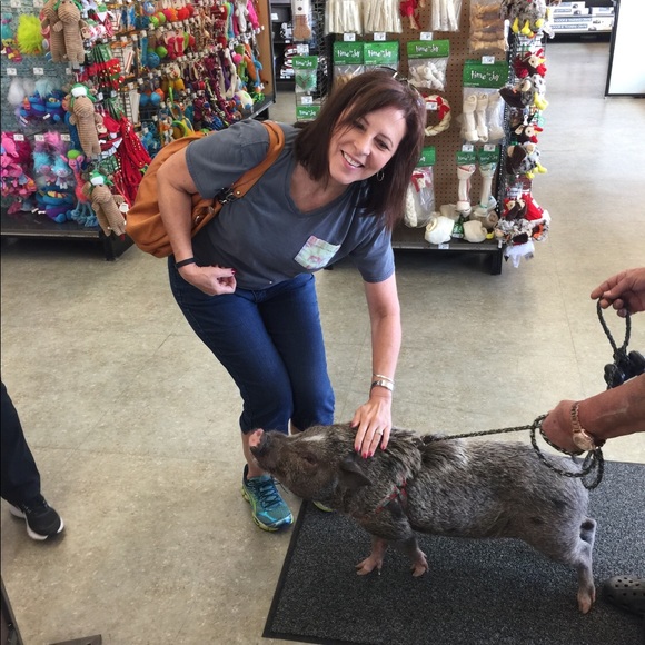 Charlottes Groovy Web ♥️♥️♥️♥️ - Picture 6 of 8