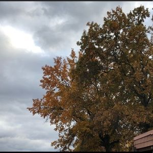 Meet your Posher, Hinal